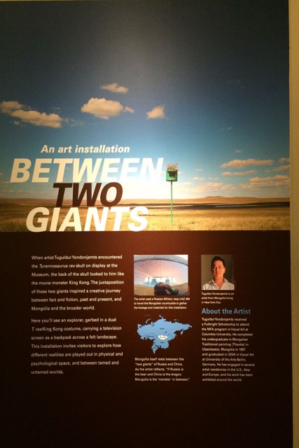 "In Between Two Giants" exhibit AMNH- 2016